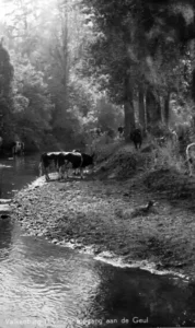 van weers-bergsteijn